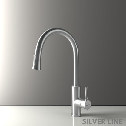 Gooseneck Pull-Down Kitchen Sink Faucet with Two-Function Spray Head - Silver Line