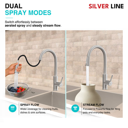 Gooseneck Pull-Down Kitchen Sink Faucet with Two-Function Spray Head - Silver Line