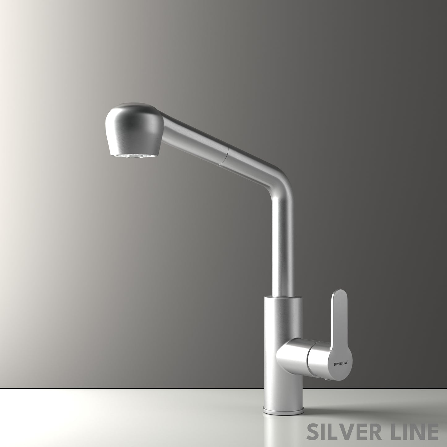 Pull-Out Kitchen Sink Faucet with Two-Function Spray Head - Silver Line
