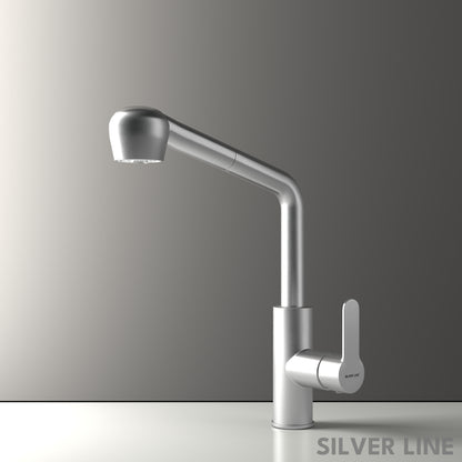 Pull-Out Kitchen Sink Faucet with Two-Function Spray Head - Silver Line
