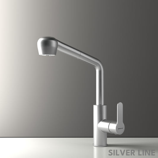 Pull-Out Kitchen Sink Faucet with Two-Function Spray Head - Silver Line