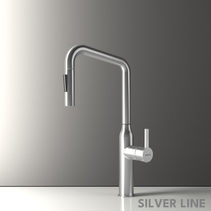 Angled Pull-Down Kitchen Sink Faucet with Two-Function Spray Head - Silver Line