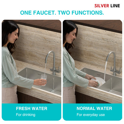 3 in 1 RO and Mixture Kitchen Sink Faucet - Silver Line